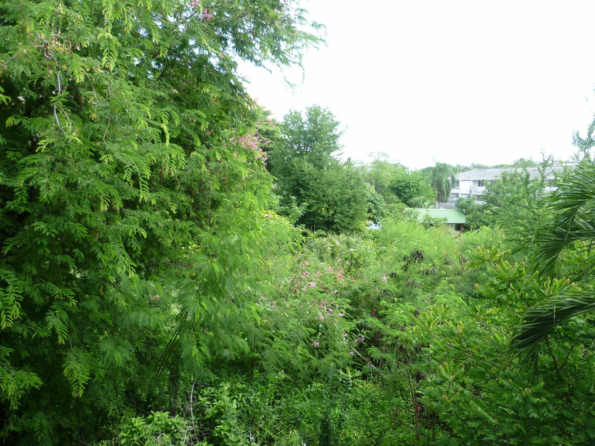 Palada Guesthouse Хуа Хин Екстериор снимка
